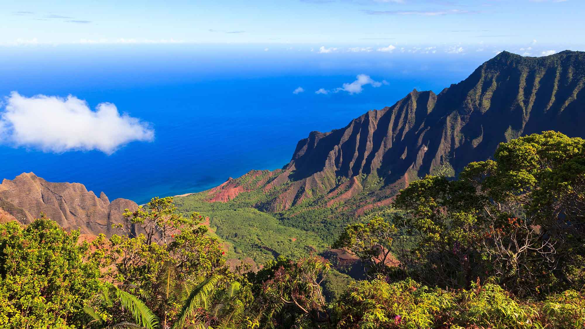 16056558 - amazing view of the kalalau valley and the na pali coast in kauai.